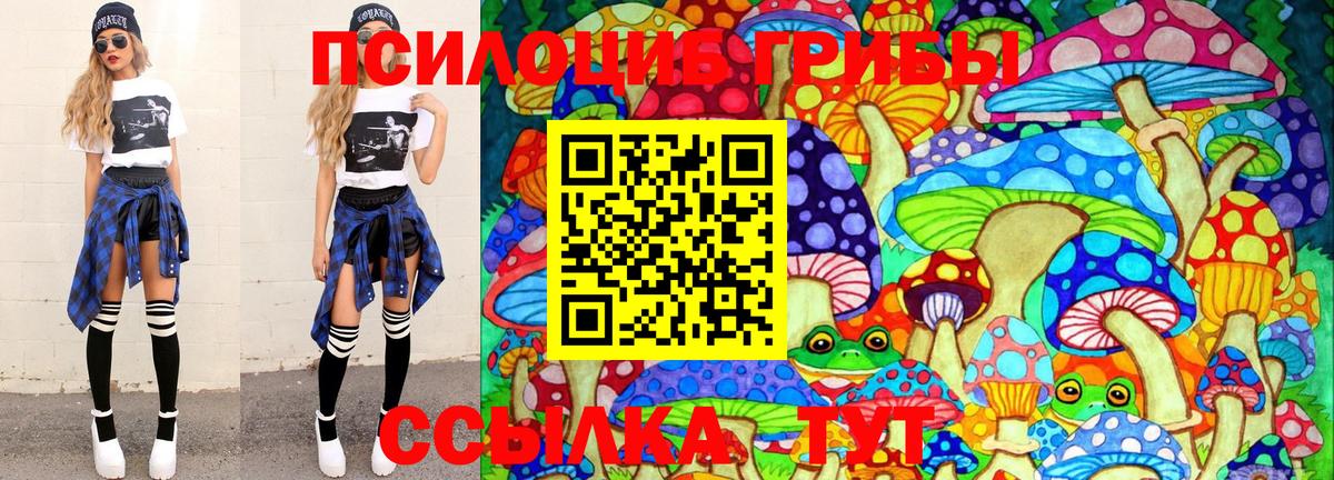 Галлюциногенные грибы Psilocybine cubensis  Вход с VPN  Карталы 