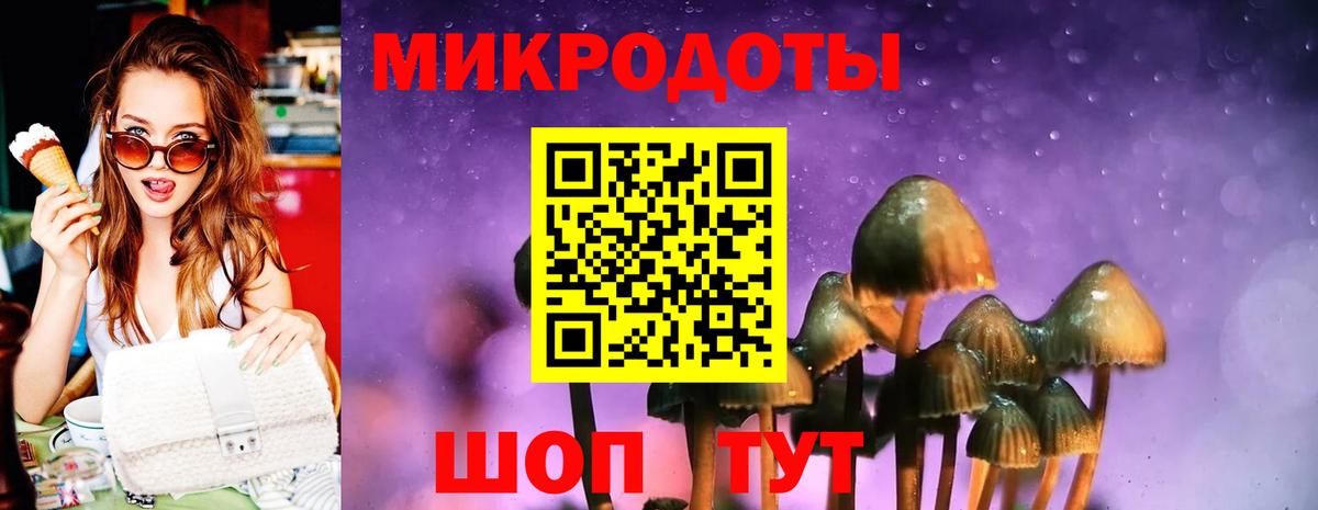 Галлюциногенные грибы MAGIC MUSHROOMS Карталы